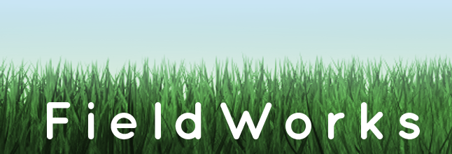 FieldWorks